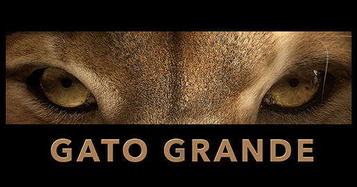 Logo Gato Grande